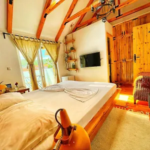 House 1960 Lini